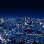 aerial view of city buildings during night time